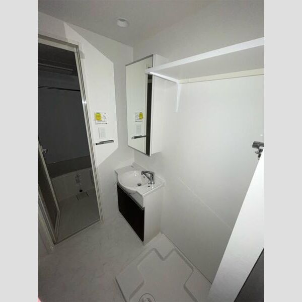 MAXIV百合ヶ丘TRE208号室 洗面