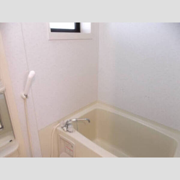 ルードルフィアタウンズ　C101号室 C203 換気窓のあるバスルーム