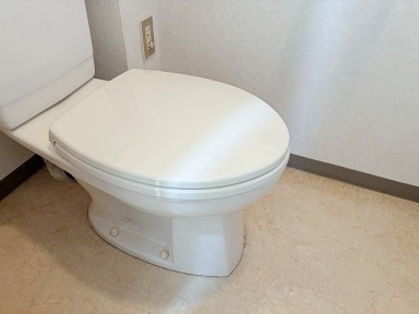 リエス清瀬旭が丘302号室 トイレ