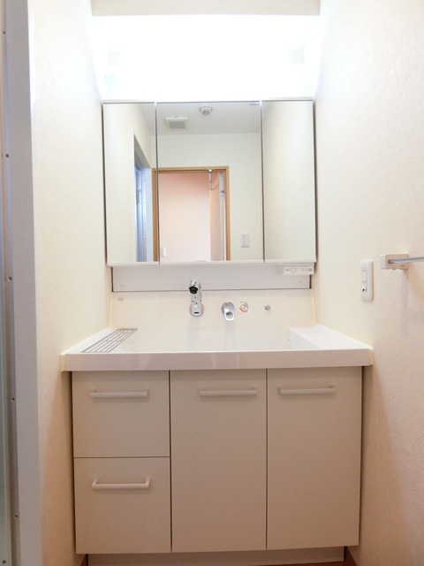 松山堂錦ビル0602号室 洗面