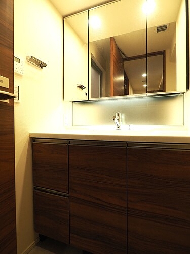 白金ザ・スカイ東棟11階 洗面