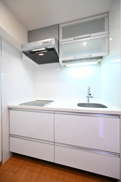 日神デュオステージ池上 キッチン