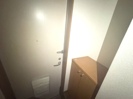 エクセルハイツⅢ番館102号室 クリーニング前の写真です