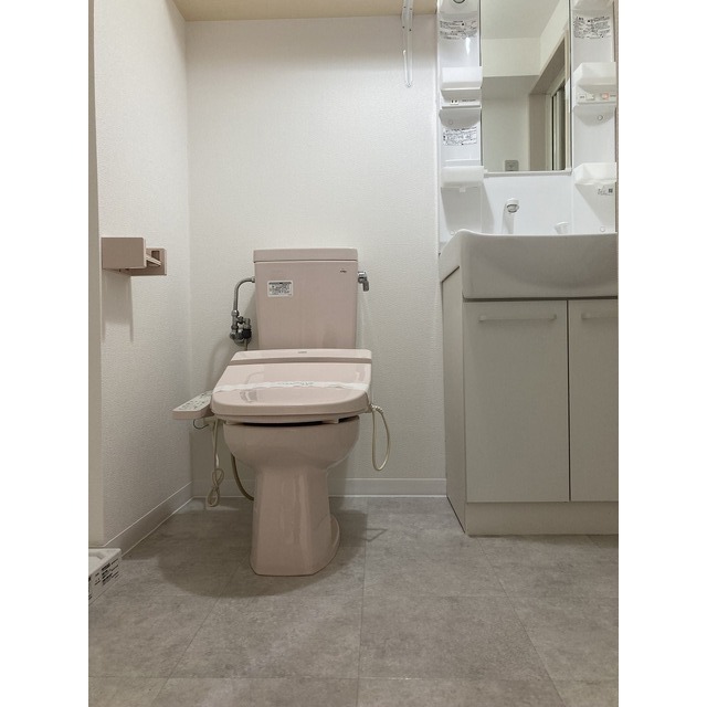 ラ・ミア・カーサ 洗面所