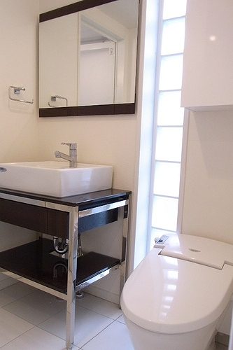 ベルファース新橋5階 トイレ　※2012年11月撮影