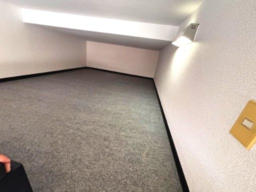 リエス稲田堤102号室 内観