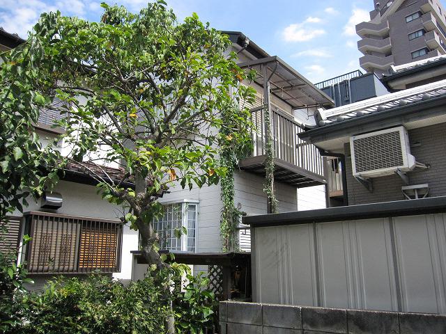 ヴィンテージ志木 外観