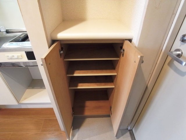 ドルチェ府中 靴入