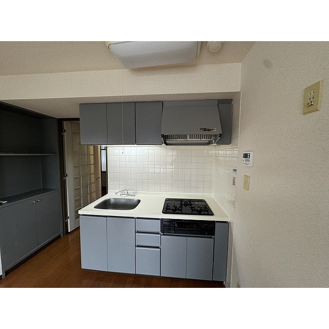 カピトール川崎Ⅰ0503号室 別部屋参照：全体