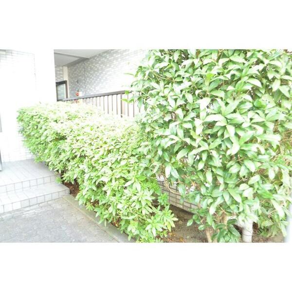 エーデルハイム成城201号室 部屋その他