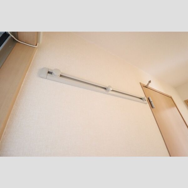 ロイヤルコートC203号室 ハングバー