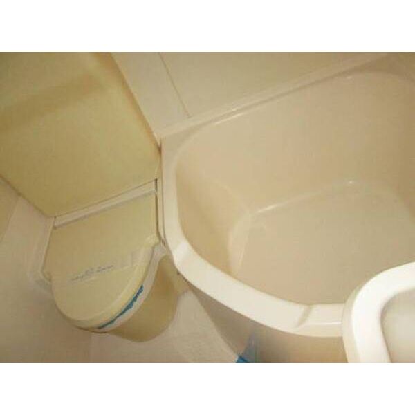 ラ・パルフェ・ド・セヴェールNO.40308号室 トイレ