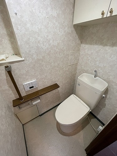 ライオンズマンション大宮高鼻町 トイレ　清掃前