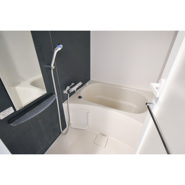 ザ・レジデンス神楽坂Ⅰ0502号室 お風呂