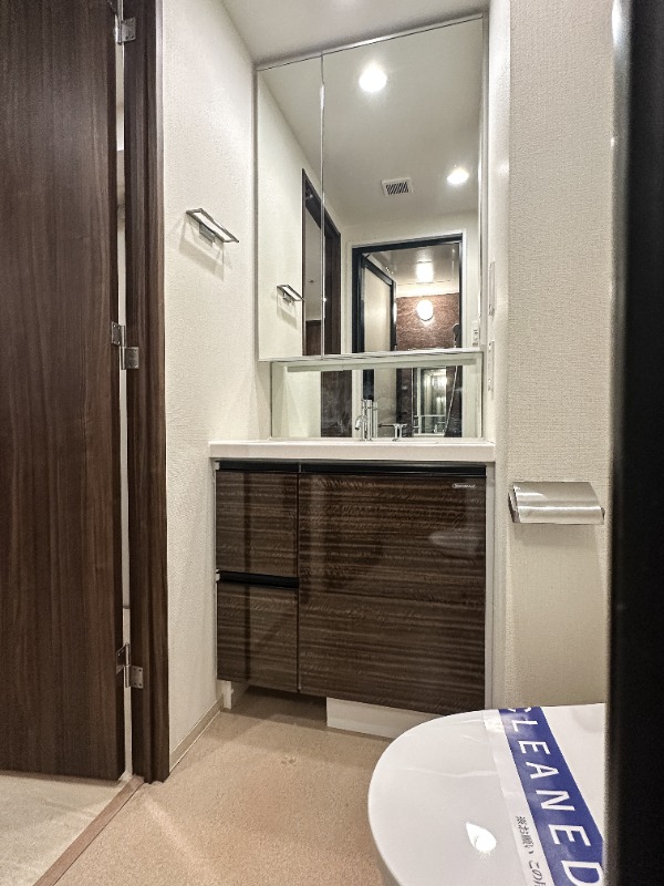 ステラメゾン三軒茶屋15階 洗面