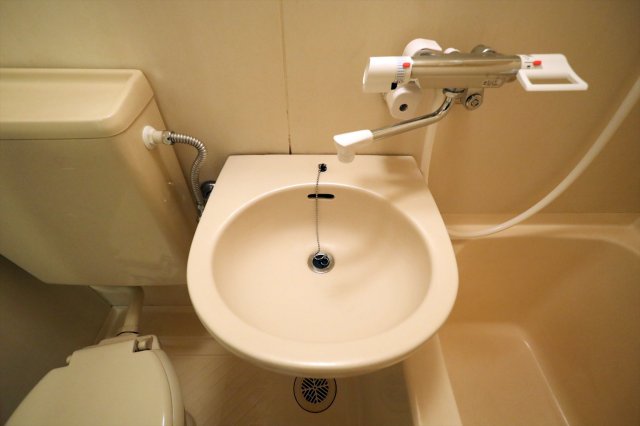 カーサふじみ野313号室 同建物別部屋の参考画像