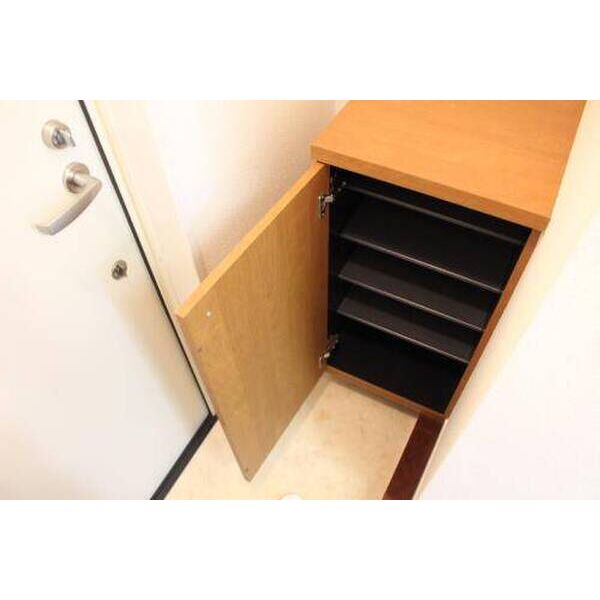 カーザ・レフィナーダⅡ 玄関