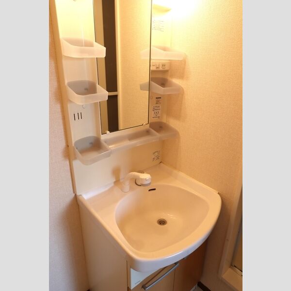 カメリア101号室 洗面