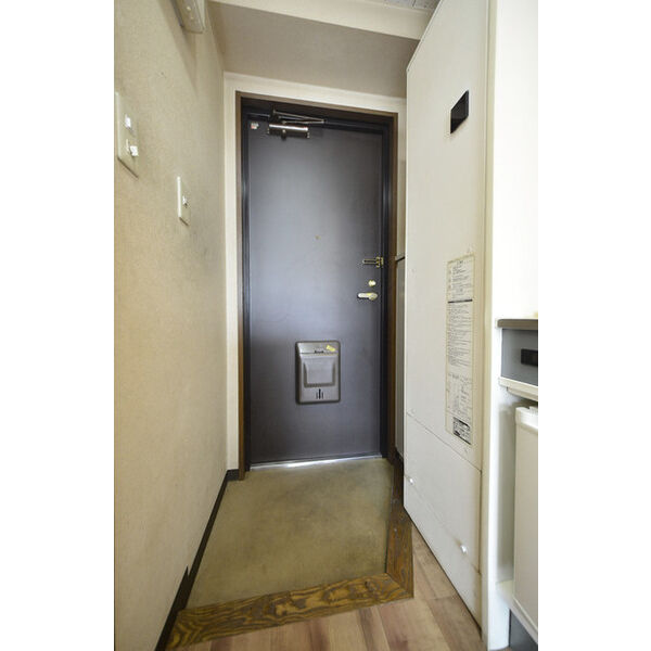 ヒルズガーデン東雪谷0203号室 玄関