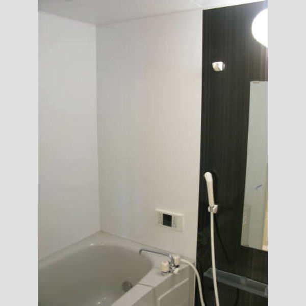 アムール花崎103号室 ユニットバス