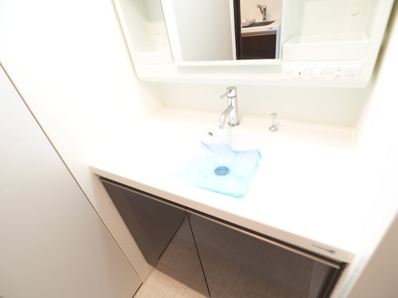 レジディア新御徒町Ⅱ5階 洗面