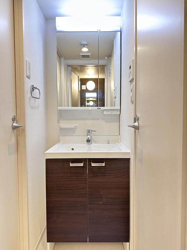 リブリ・津田山 洗面