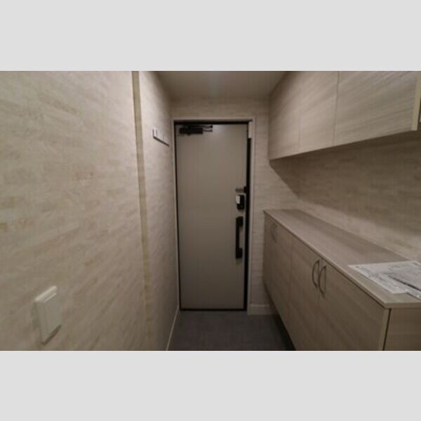 D-PRECIOUS武蔵野101号室 玄関