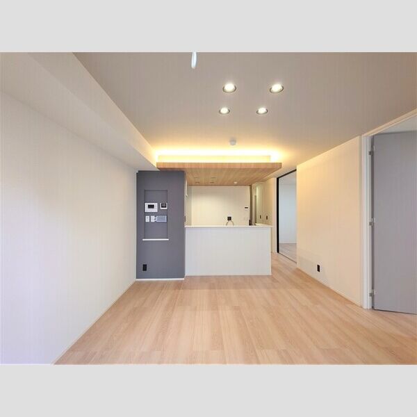 Auspicious　House303号室 LDK14.6帖(別角度)