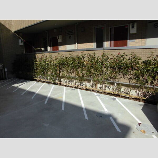 クレイドル103号室 駐輪場