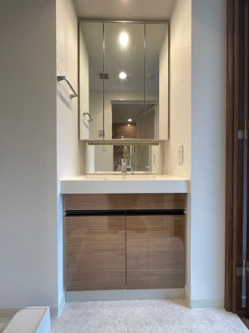 DIPS上北沢 North Villa502号室 洗面