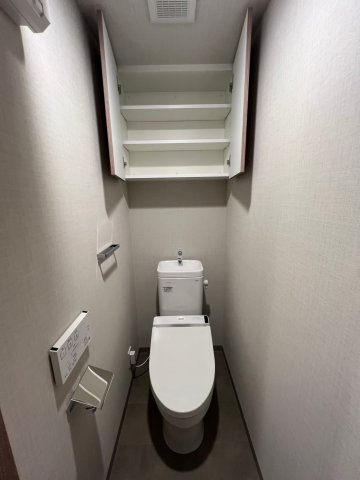 DIPS上野NORTH1001号室 トイレ