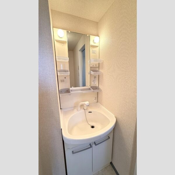 サフィール　A・BA202号室 洗髪洗面化粧台