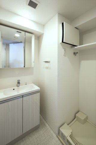 DIPS日暮里2301号室 洗面