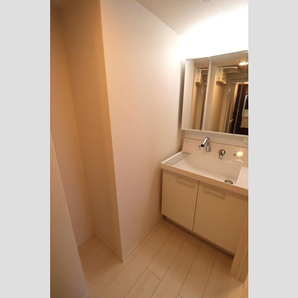 エクセリア中村北303号室 洗面
