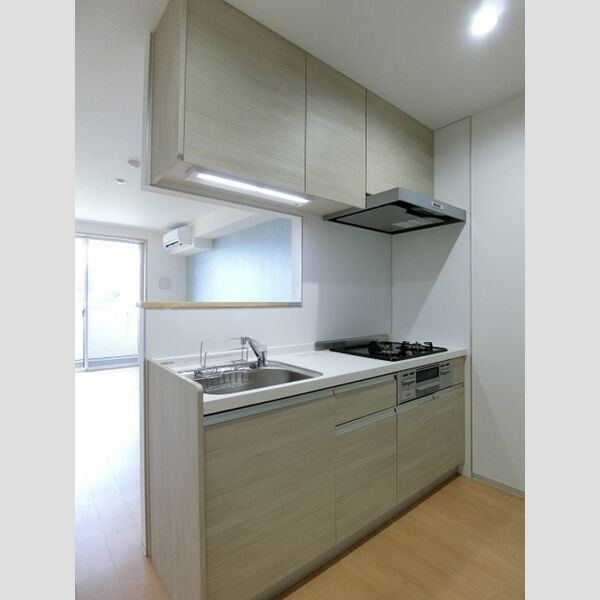 TERRACE　WELLNESS205号室 システムキッチン