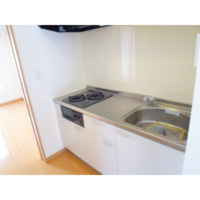 アムール remercier101号室 キッチン