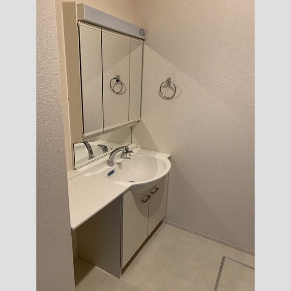 メゾン・サンセリテ 洗髪洗面化粧台