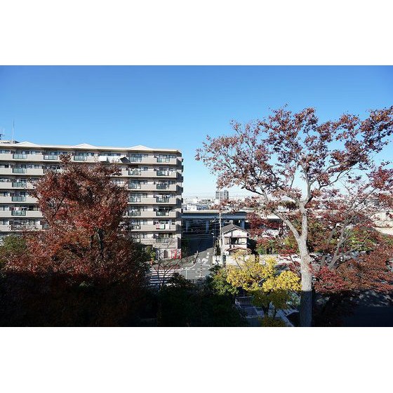 Rising Place綾瀬0524号室 バルコニー眺望