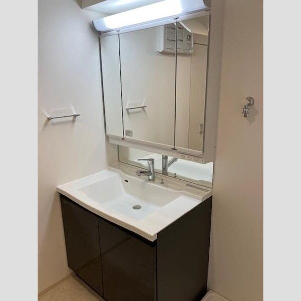 Alivis一之江904号室 洗面