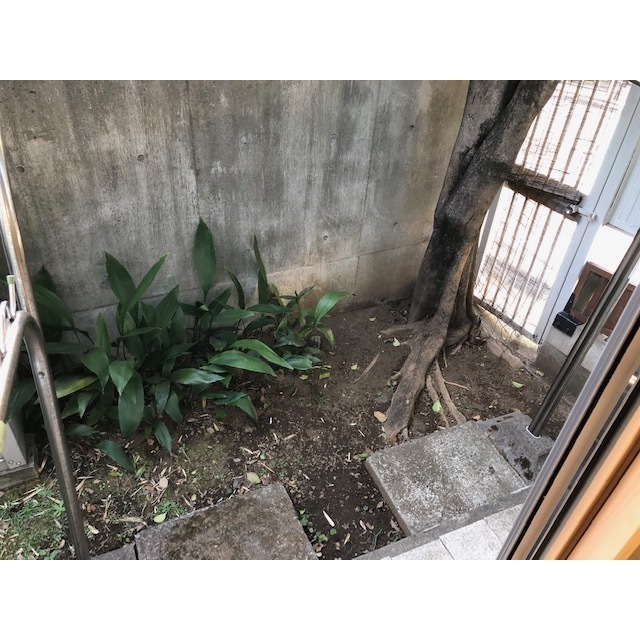 ユーコーポ101号室 専用庭あり