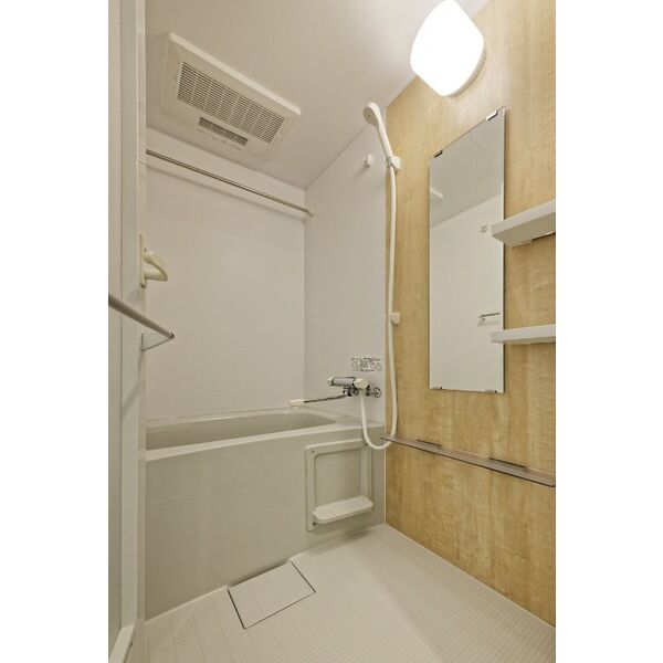 クラリッサ川崎ブルーノ1002号室 部屋その他