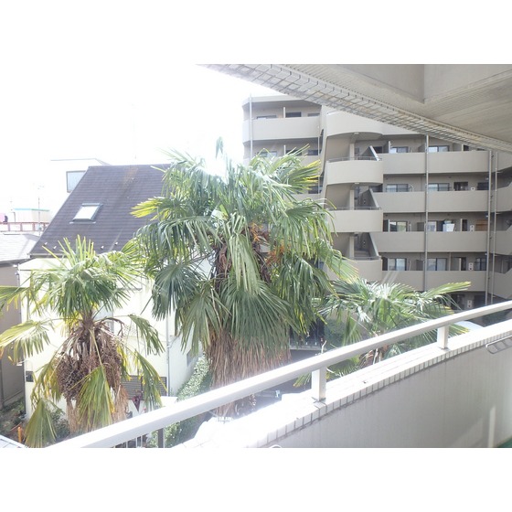 アドウィンハイム池上301号室 バルコニー