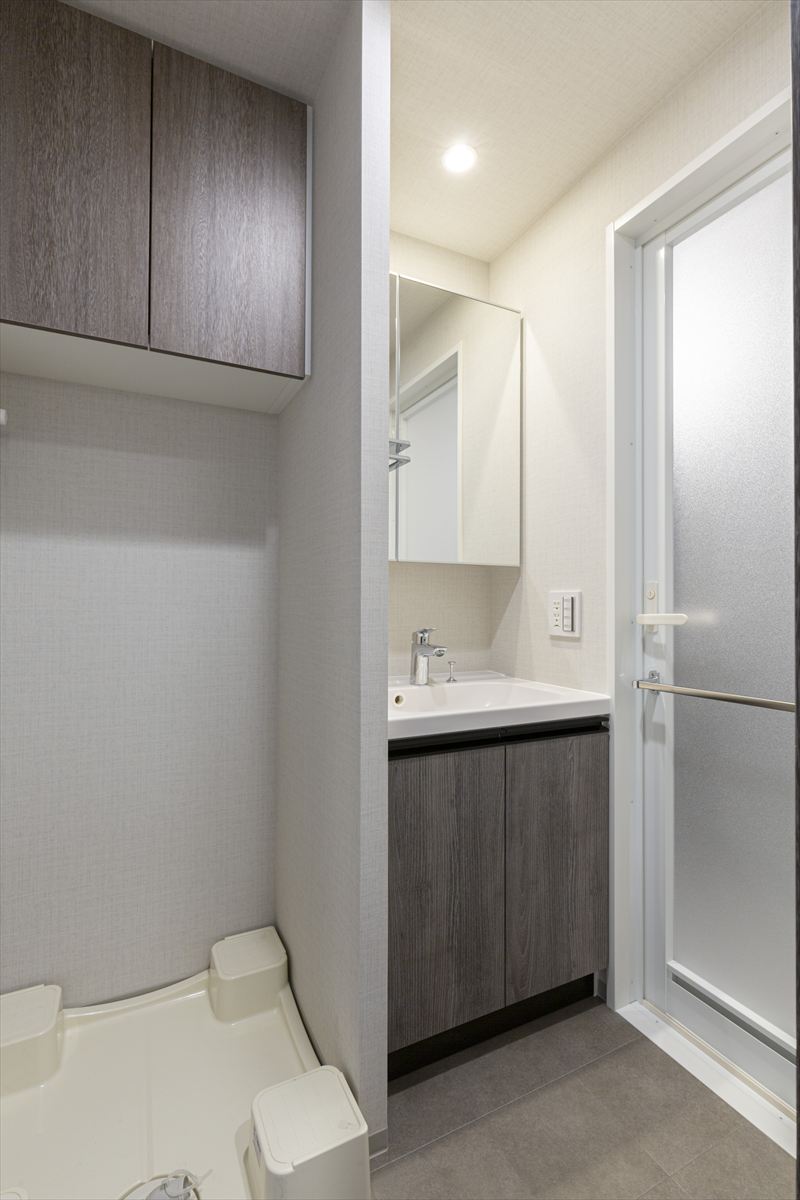 DIPS野方501号室 洗面