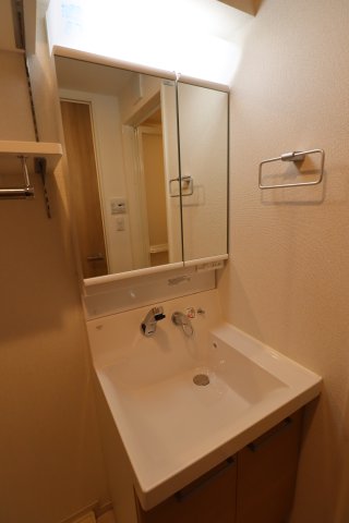 GENOVIA東川口0404号室 洗面