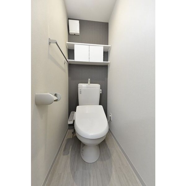 クリオ　ラモード学芸大学Ⅱ0403号室 トイレ