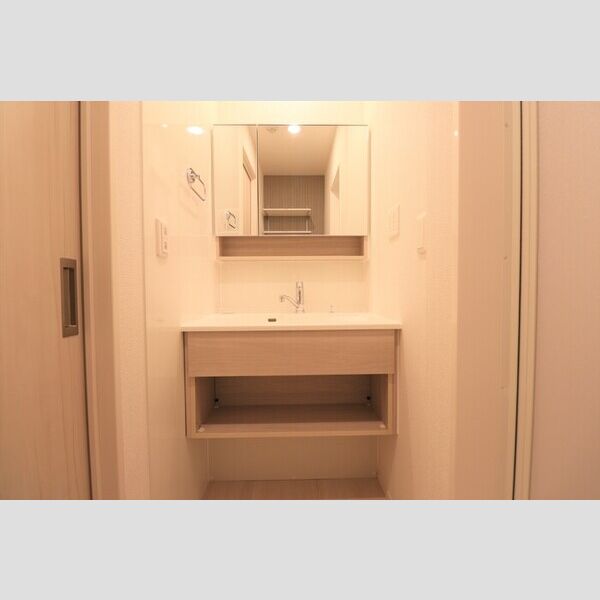 ソレイユガーデン106号室 洗髪洗面化粧台