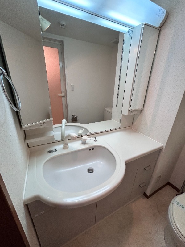 Sun Viale Asuka1階 洗面