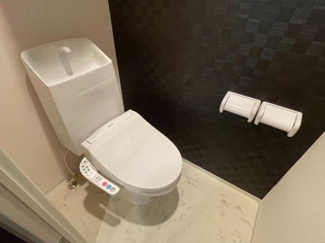 グラン　ドマーニ101号室 シャワー付トイレ