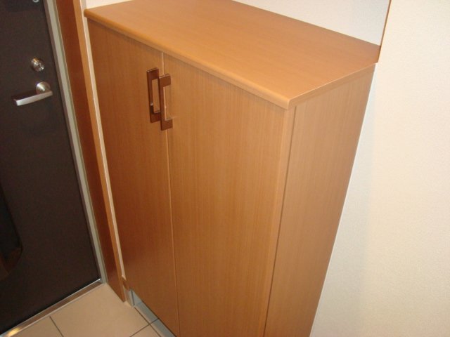 グレイシャス203号室 下駄箱