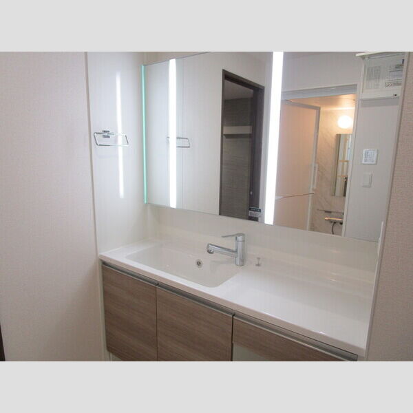 ラ・ペッシュ203号室 洗髪洗面化粧台